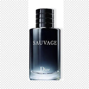 Savage Dior EDP 100ml - View 1
